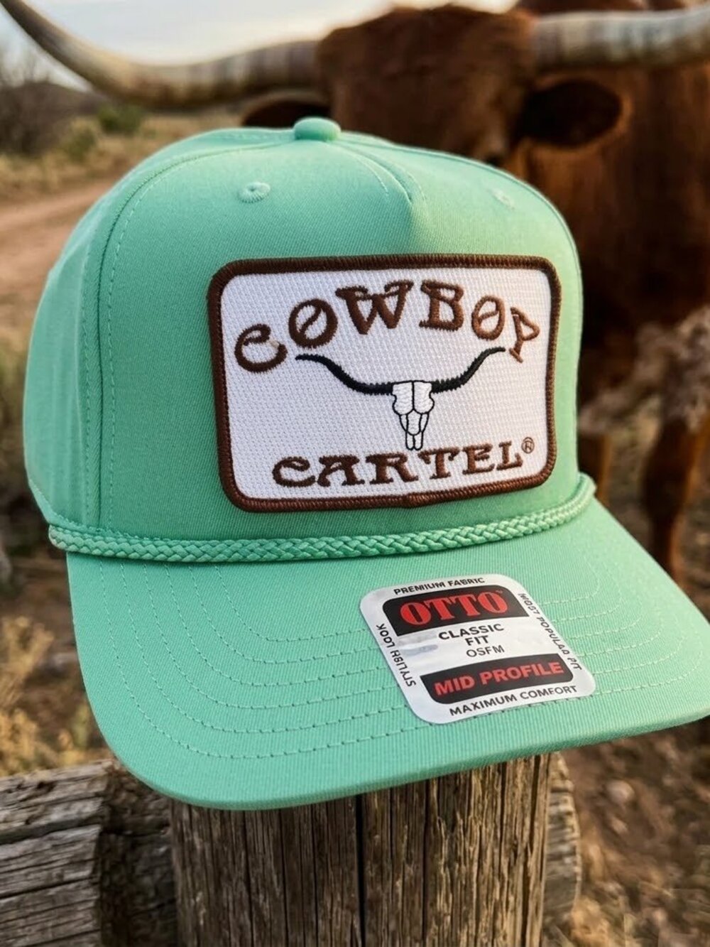 Retro Cowboy Cartel Longhorn Skull Patch Mint Green OTTO Rope Snapback Hat New